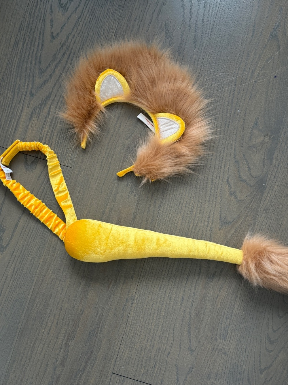 Lion Costume Accessories. Child. One size.
